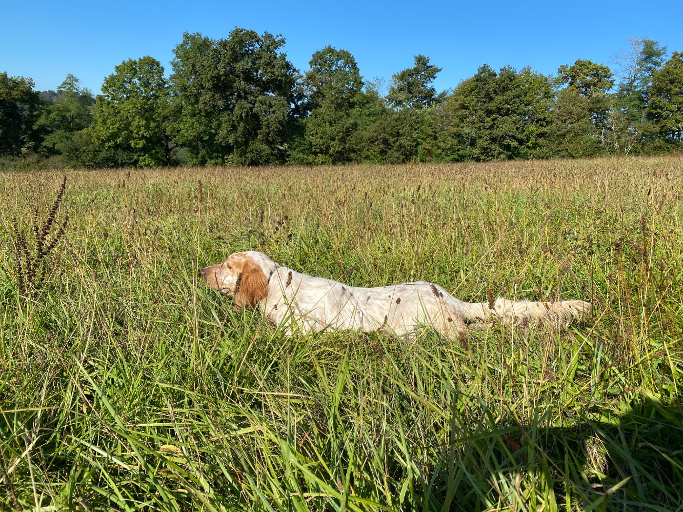 UNTER du Mas d'Eyraud