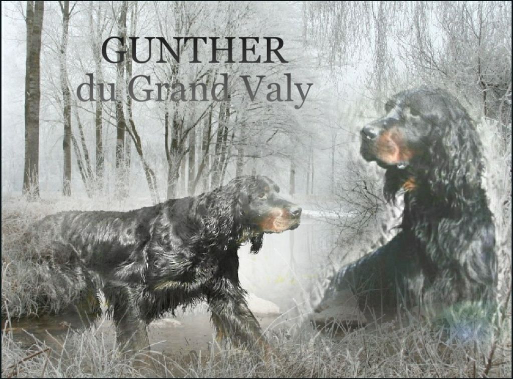 GUNTHER DU GRAND VALY
